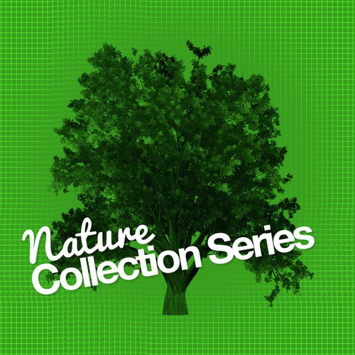 Nature Collection Series