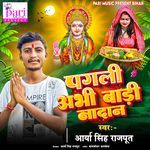 Pagali Abhi Badi Nadan