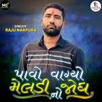 Pavo Vagyo Meldi Jodh No