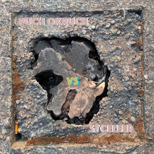 P.M.A.C 2022a cover art