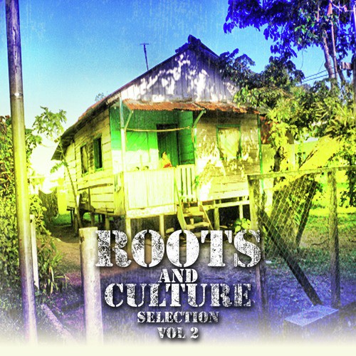 Roots & Culture Selection Volume 2