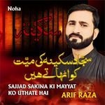 Sajjad Sakina Ki Mayyat Ko Uthate Hain