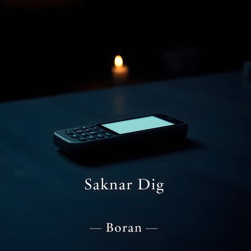 Saknar Dig