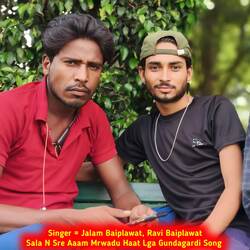 Sala N Sre Aaam Mrwadu Haat Lga Gundagardi Song-AD5aQD5jdAA