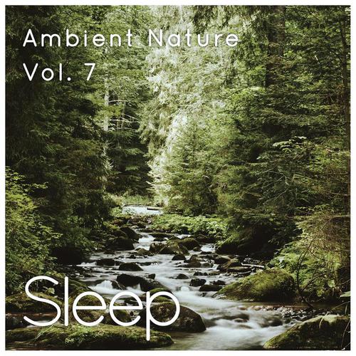 Ambient Nature Sleep Sounds, Pt. 34