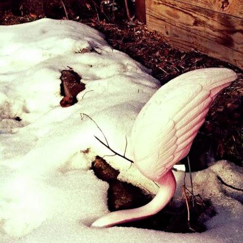 Bent cover art