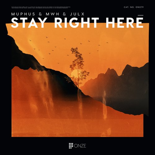 Stay Right Here_poster_image