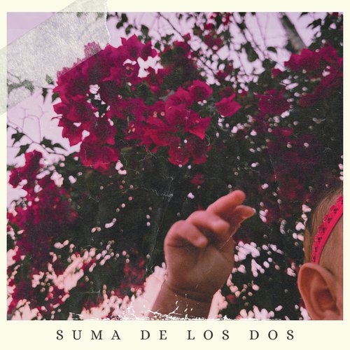 Suma de los Dos