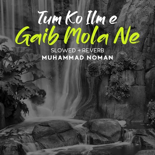 Tum Ko Ilm E Gaib Mola Ne Lofi
