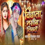 Vidhata Naseeb Likhle