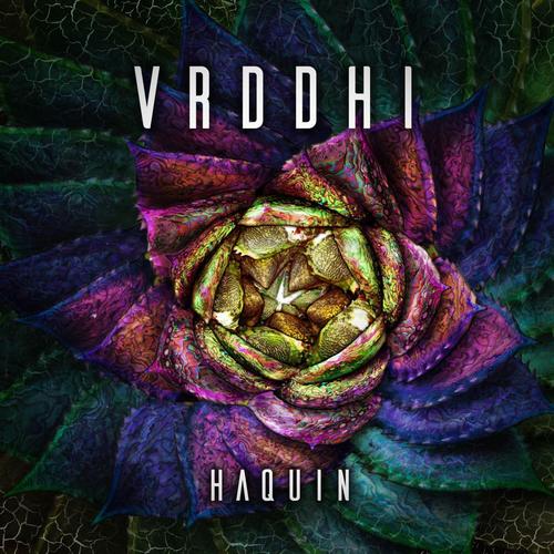 Vrddhi (Original Mix)