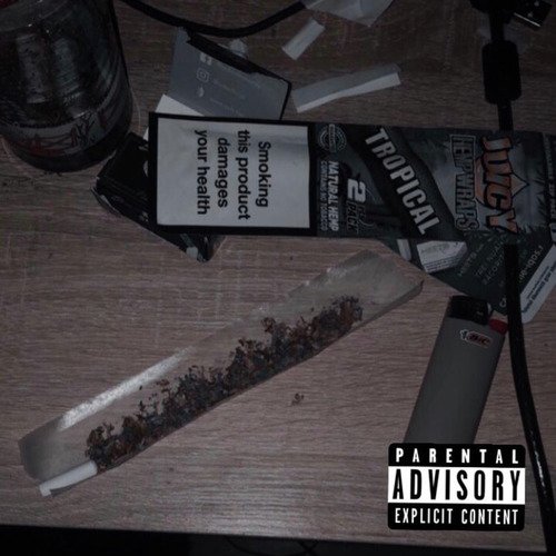 nardo cover art