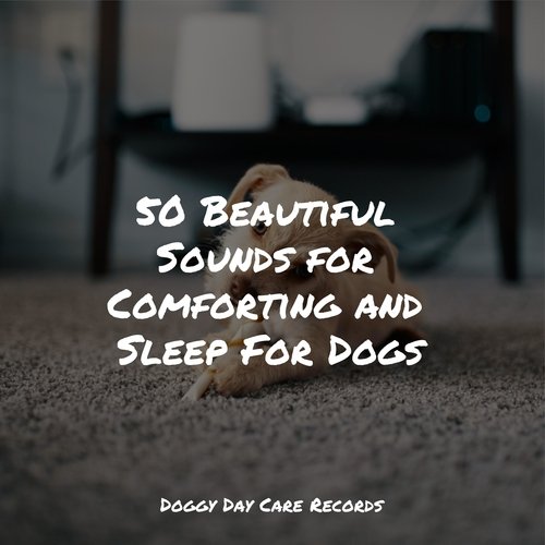 50 Beautiful Sounds for Comforting and Sleep For Dogs_poster_image