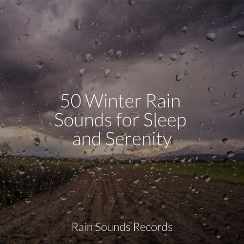 50 Winter Rain Sounds for Sleep and Serenity_poster_image