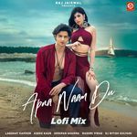 Apna Naam Du (Lofi Mix)