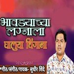 Bhavdyachya Lagnala Ghaluya Dhingana