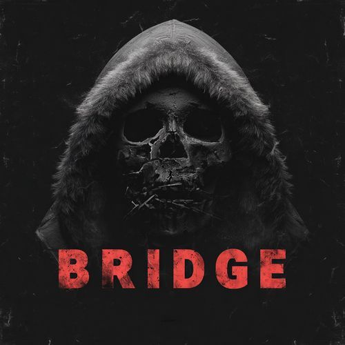 Bridge cover art