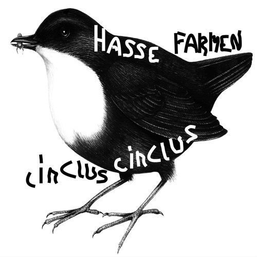 Cinclus cinclus cover art
