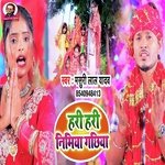 Hari Hari Nimiya Gachhiya