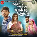 Janu Te To Parkanu Panetar Odhyu