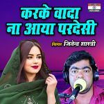 Karke Vada Na Aaya Pardesi