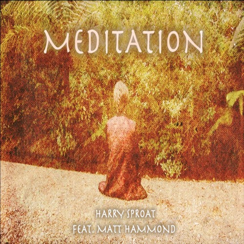 Meditation (feat. Matt Hammond)