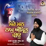 Mere Man Naam Amrit Piyo