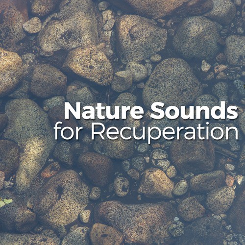 Nature Sounds for Recuperation