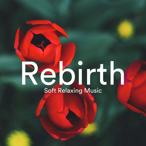Rebirth: Soft Relaxing Music