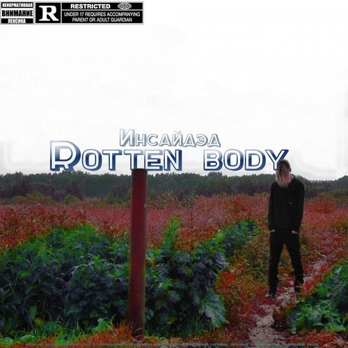 Rotten Body