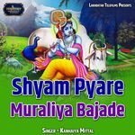 Shyam Pyare Muraliya Bajade