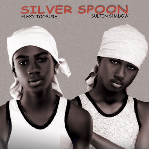 Silver Spoon