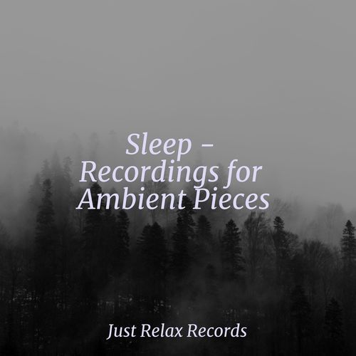 Sleep - Recordings for Ambient Pieces