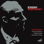 Serenade for String Orchestra, Op. 48: III. Elegie - Larghetto elegiaco