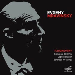 Serenade for String Orchestra, Op. 48: III. Elegie - Larghetto elegiaco