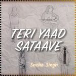 Teri Yaad Sataave