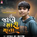 Tu Jane Re Mari Mata