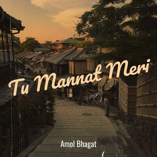 Tu Mannat Meri
