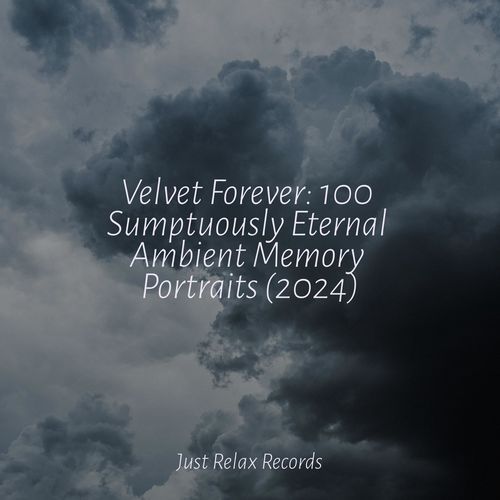 Velvet Forever: 100 Sumptuously Eternal Ambient Memory Portraits (2024)