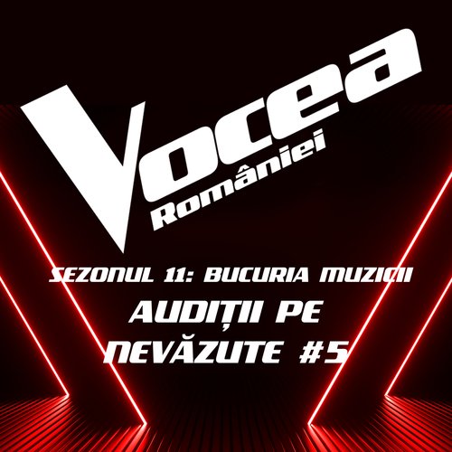 Vocea României: Audiții pe nevăzute #5 (Sezonul 11 - Bucuria Muzicii) (Live)