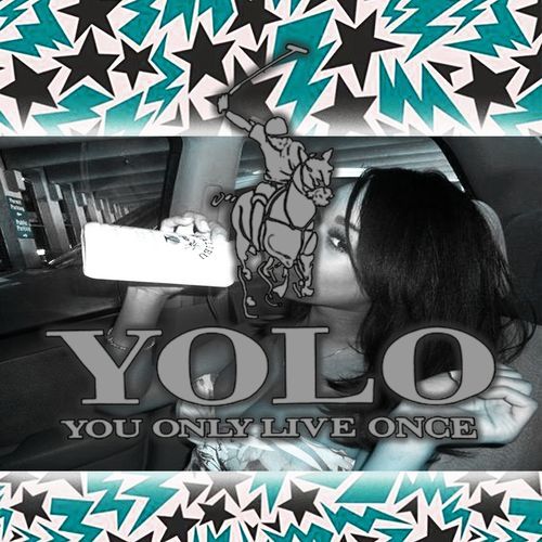 yolo_poster_image