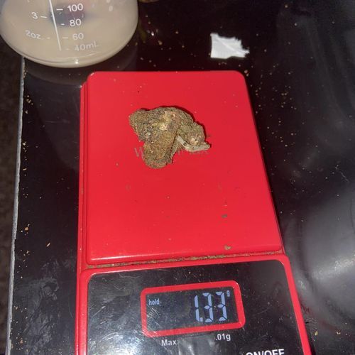 1:33