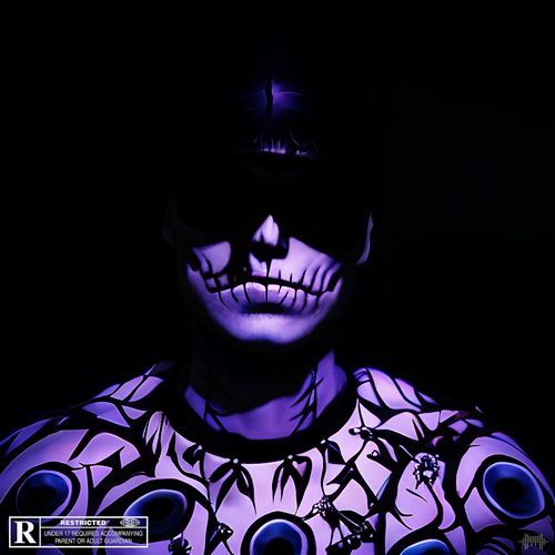 Aerial SHOT cover art