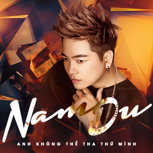 Anh Không Thể Tha Thứ Mình cover art