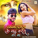 Apna Pagla Ke Yaad Kareli Ki Na