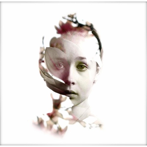 The Fool cover art