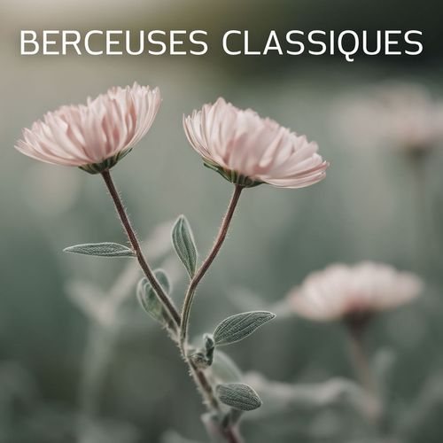 Echos du soir