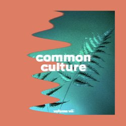 Common Culture, Vol. VII