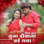 Dil Hau Tuna Diwana Vai Gaya