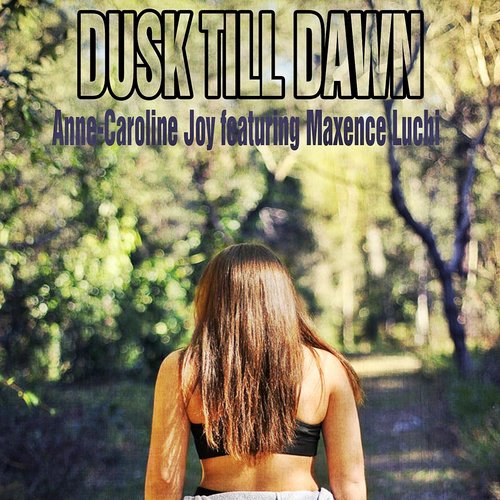 Dusk Till Dawn (Zayn ft. Sia Tribute)